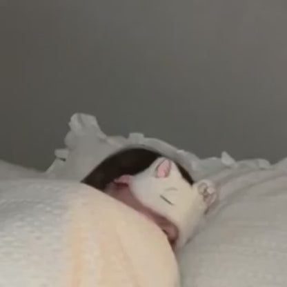 24x Kruidige Geurpleisters – Rustig en ontspannen slapen